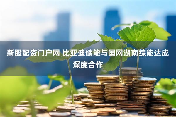 新股配资门户网 比亚迪储能与国网湖南综能达成深度合作