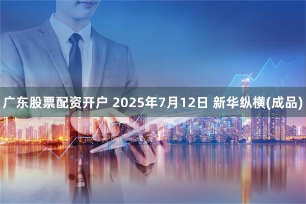 广东股票配资开户 2025年7月12日 新华纵横(成品)