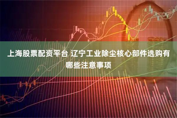 上海股票配资平台 辽宁工业除尘核心部件选购有哪些注意事项